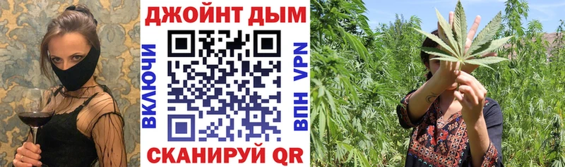 Где купить наркотики Краснознаменск Канабис  Псилоцибиновые грибы  ГАШ  мега маркетплейс  Кокаин 