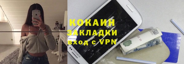 стафф Алексин