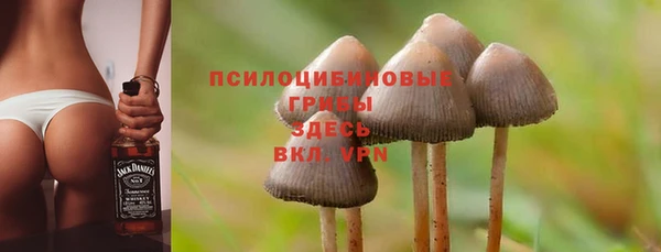 гашик Сатка