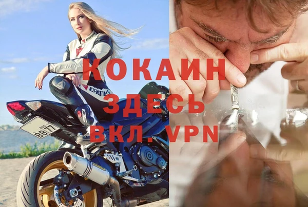 стафф Алексин