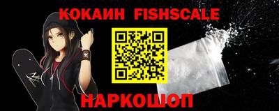 a pvp Камышлов