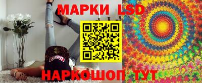 мяу мяу мука Кандалакша