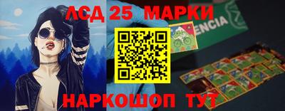 a pvp Камышлов