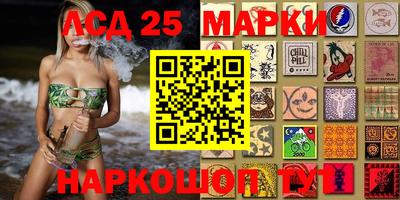 a pvp Камышлов