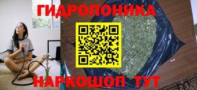 a pvp Камышлов