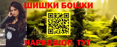 a pvp Камышлов