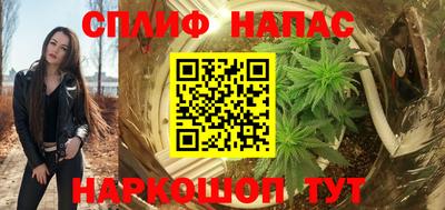 a pvp Камышлов