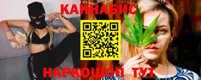 a pvp Камышлов