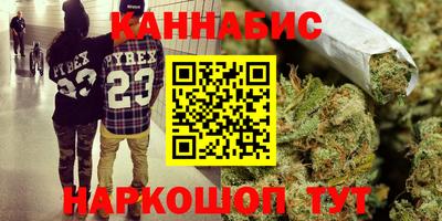 a pvp Камышлов